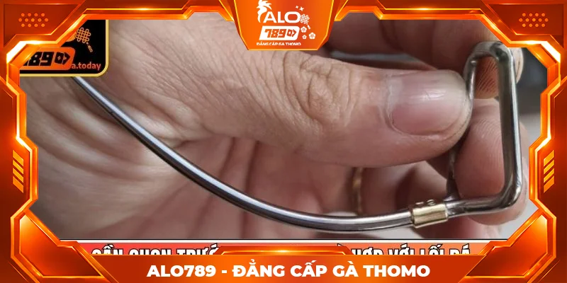Cần chọn trước loại cựa phù hợp với lối đá Cần chọn trước loại cựa phù hợp với lối đá