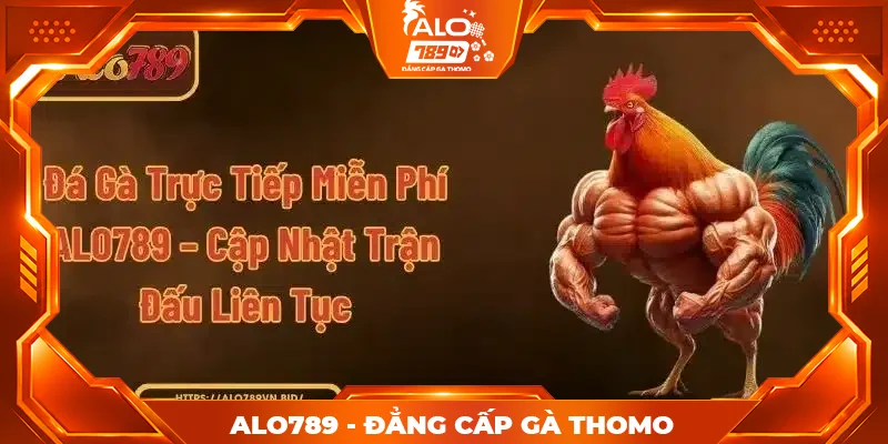 Đá Gà Trực Tiếp Miễn Phí ALO789