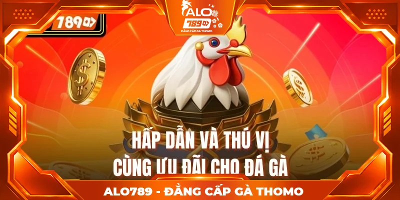 Hấp dẫn và thú vị cùng ưu đãi cho đá gà Hấp dẫn và thú vị cùng ưu đãi cho đá gà