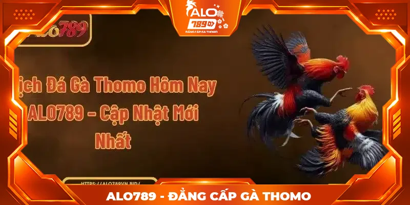 Lịch Đá Gà Thomo Hôm Nay ALO789