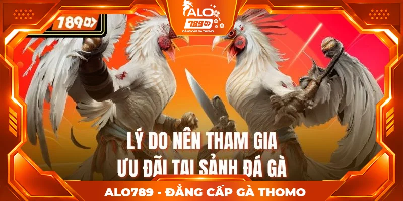 Lý do nên tham gia ưu đãi tại sảnh đá gà Lý do nên tham gia ưu đãi tại sảnh đá gà