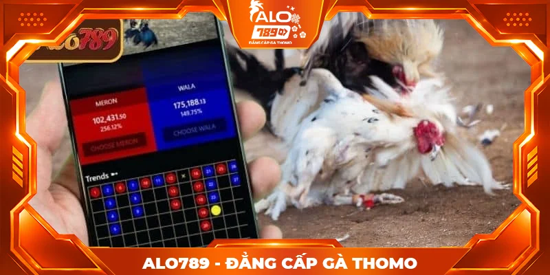 Mẹo tận dụng stream 4K đá gà ALO789 hiệu quả