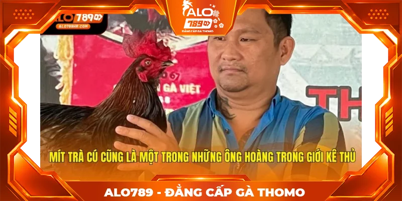 Mít Trà Cú cũng là một trong những ông hoàng trong giới kê thủ Mít Trà Cú cũng là một trong những ông hoàng trong giới kê thủ
