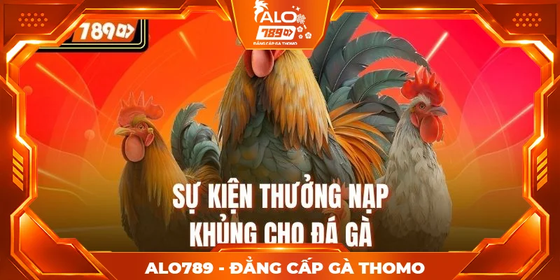 Sự kiện thưởng nạp khủng cho đá gà Sự kiện thưởng nạp khủng cho đá gà