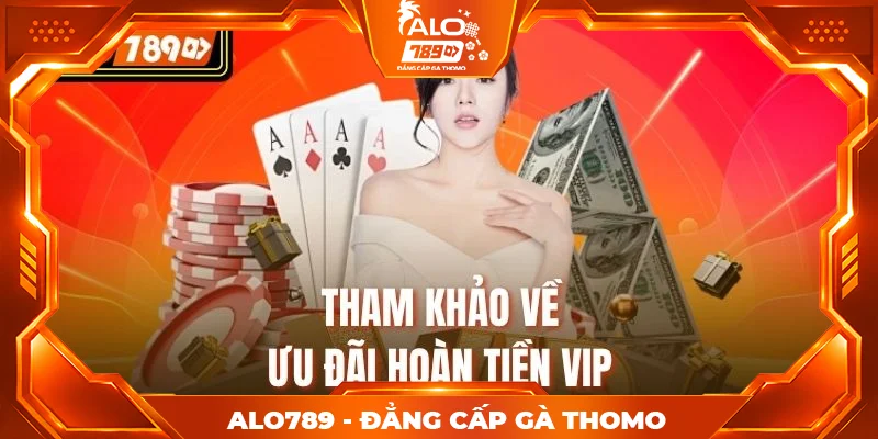Tham khảo về ưu đãi hoàn tiền VIP Tham khảo về ưu đãi hoàn tiền VIP