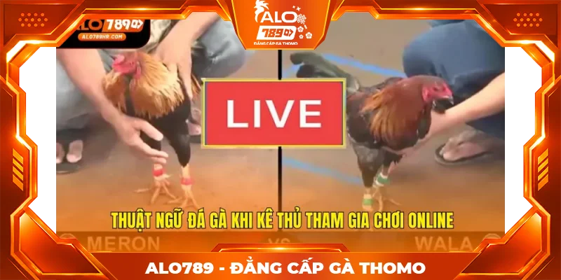 Thuật ngữ đá gà khi kê thủ tham gia chơi online
