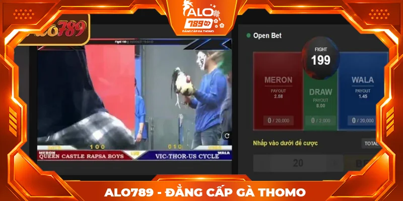 Tổng hợp các hình thức đá gà nổi bật tại WS168 ALO789