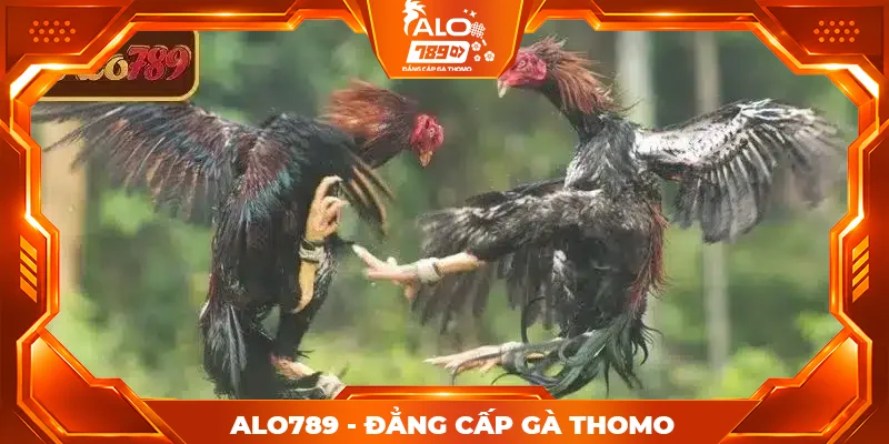 Tổng quan về CPC1 CPC3 ALO789 Tổng quan về CPC1 CPC3 ALO789