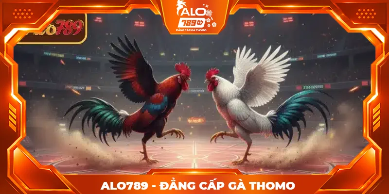Tổng quan về vị thế của ALO789 vs BJ88 đá gà trên thị trường Tổng quan về vị thế của ALO789 vs BJ88 đá gà trên thị trường