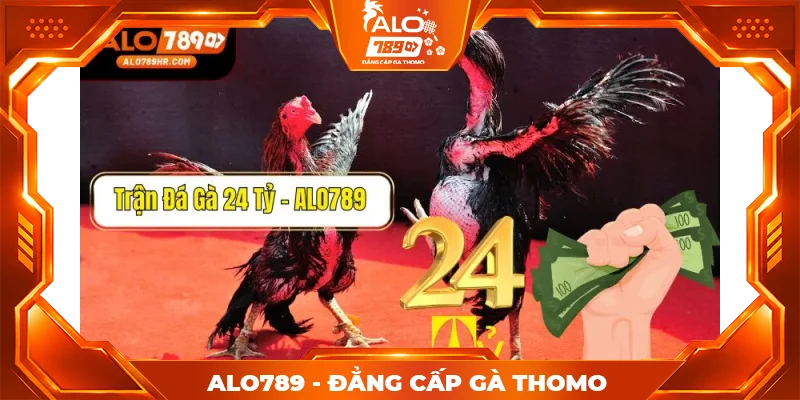 Hé lộ thông tin trận đá gà 24 tỷ thu hút mọi kê thủ