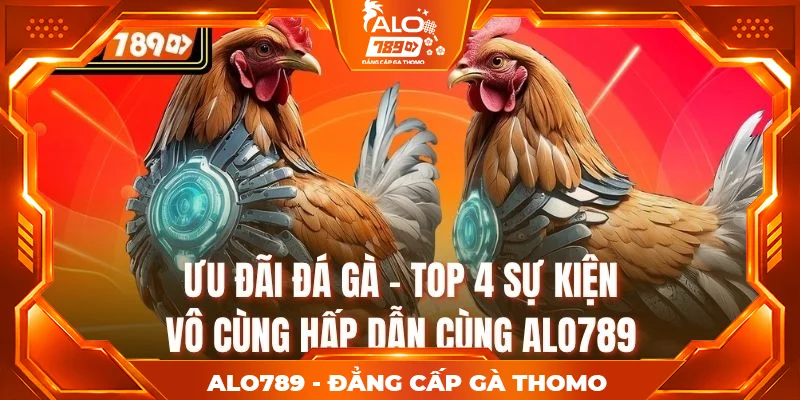 Ưu Đãi Đá Gà - Top 4 Sự Kiện Vô Cùng Hấp Dẫn Cùng Alo789